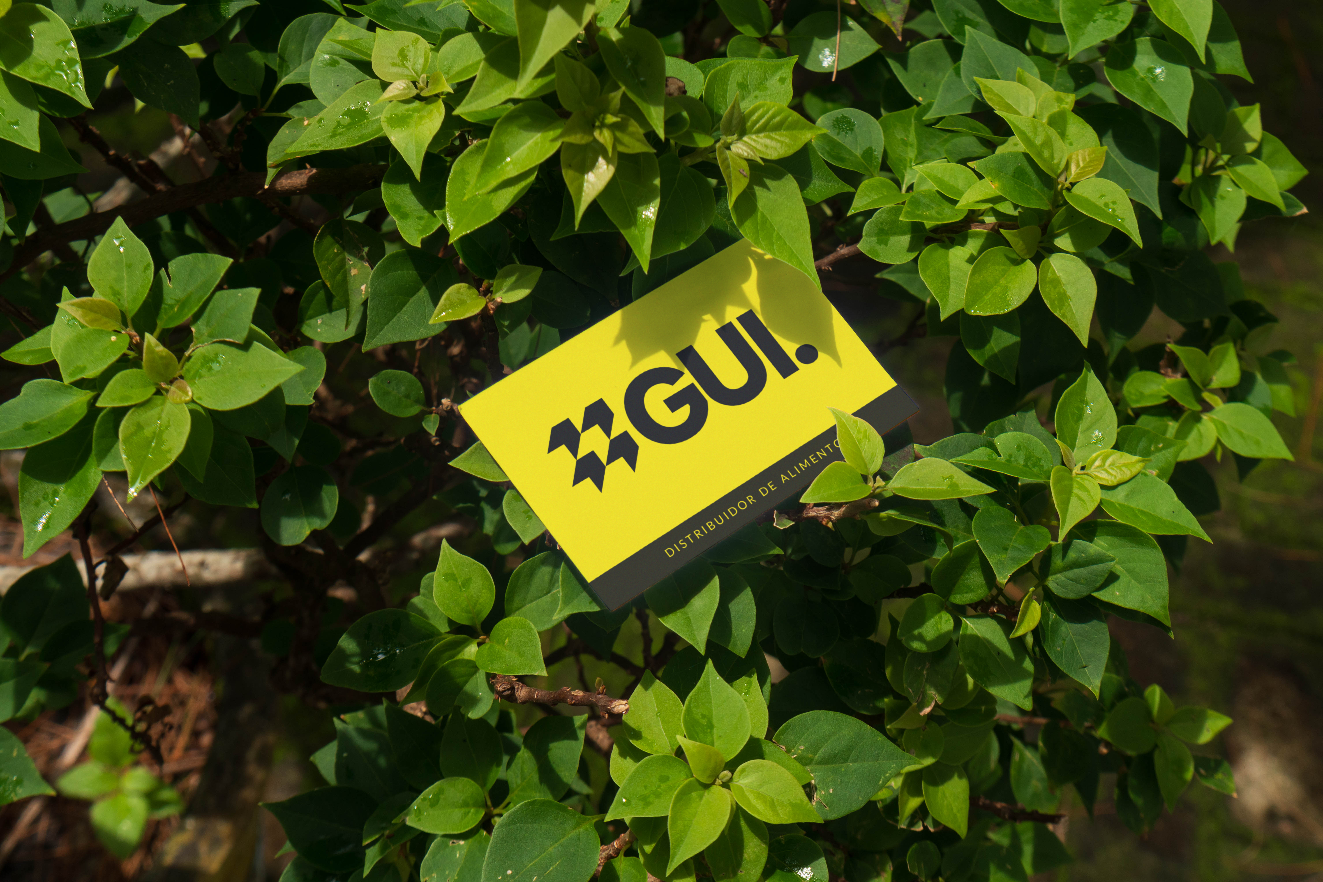 Cartão de Visita — Frente