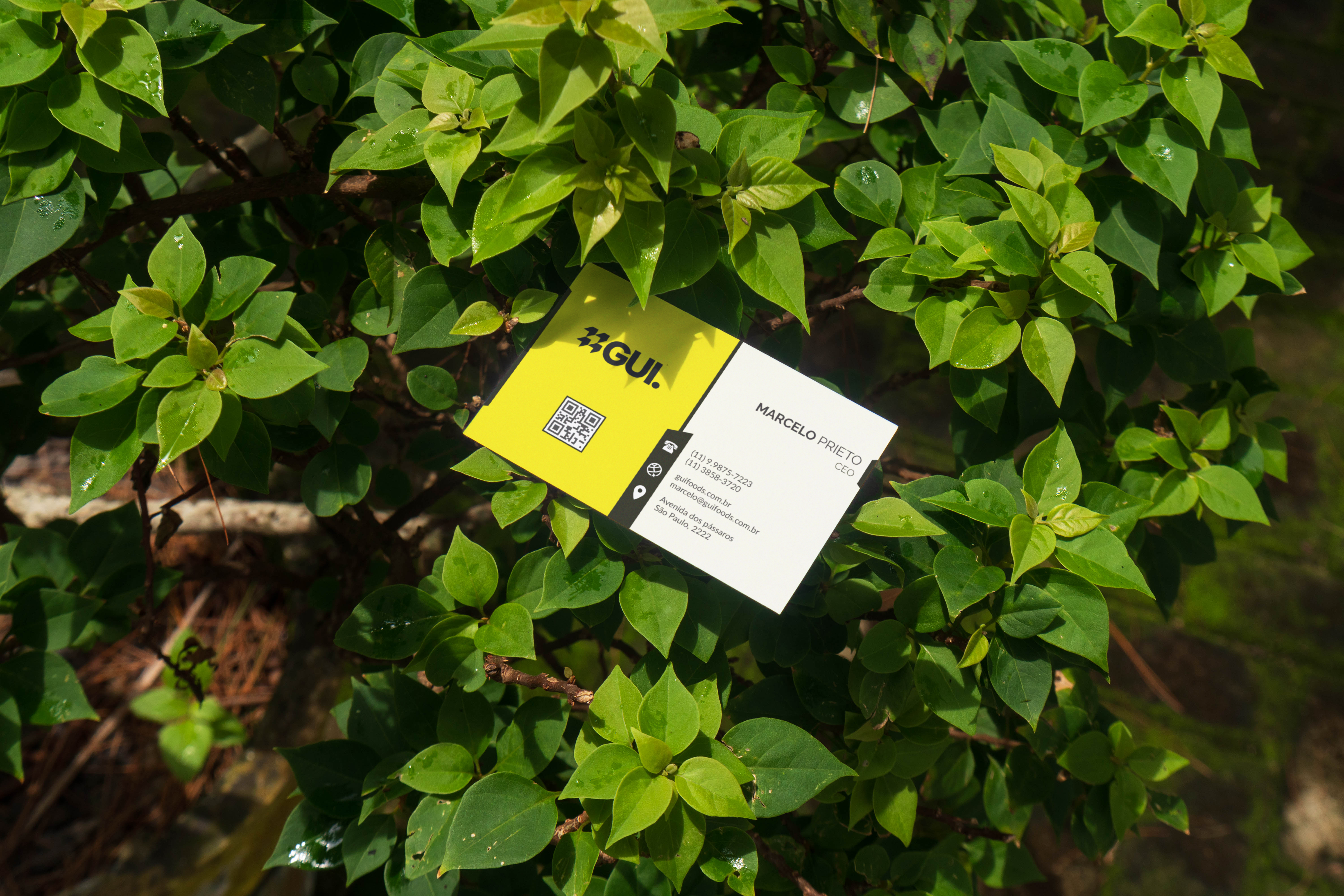 Cartão de Visita — Verso